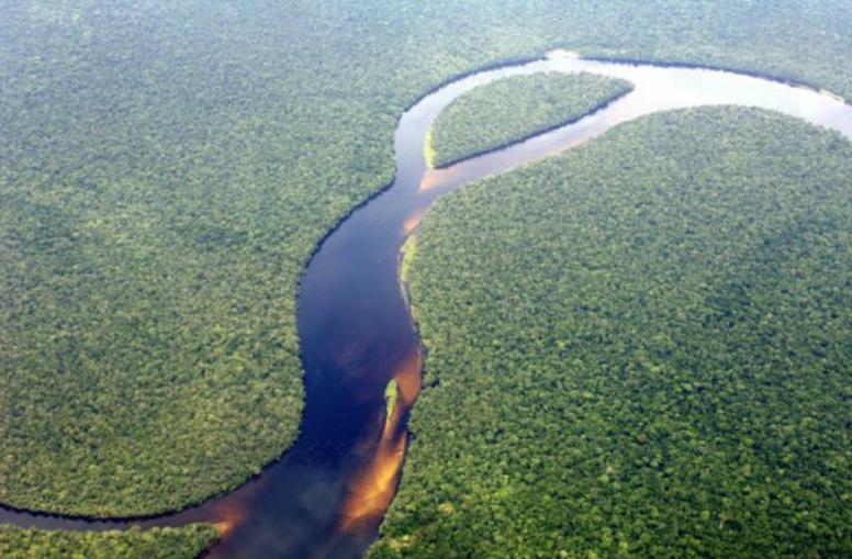 Afrikanische Länder und EU-Staaten beschließen Regenwald-Schutz im Kongobecken