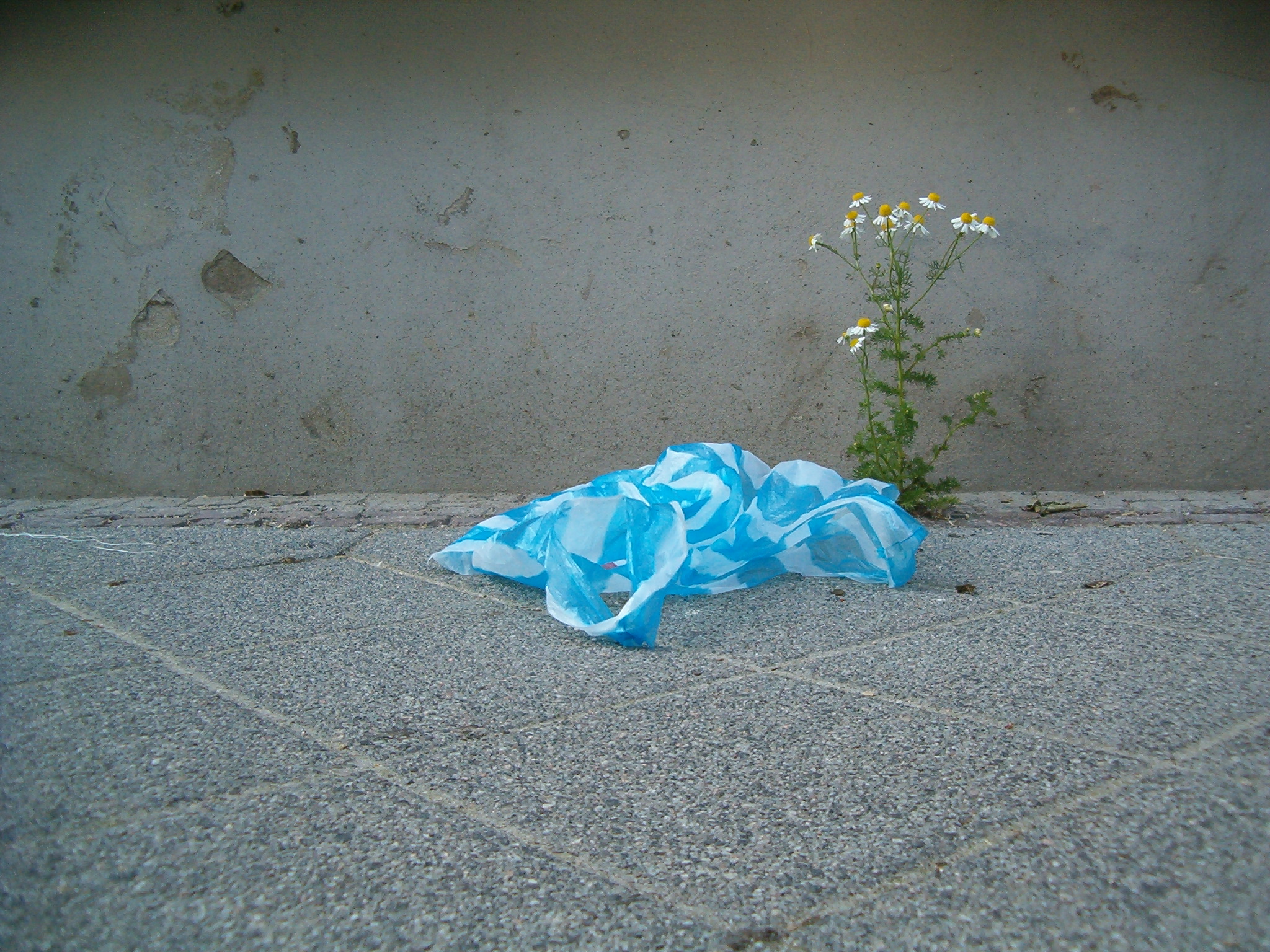 Plastiktüten: Deutsche Verbraucher müssen ab kommendem Jahr zahlen