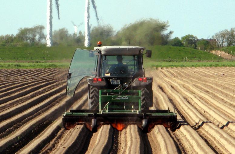 Konzerne verzichten auf Anbau von Genmais in Deutschland