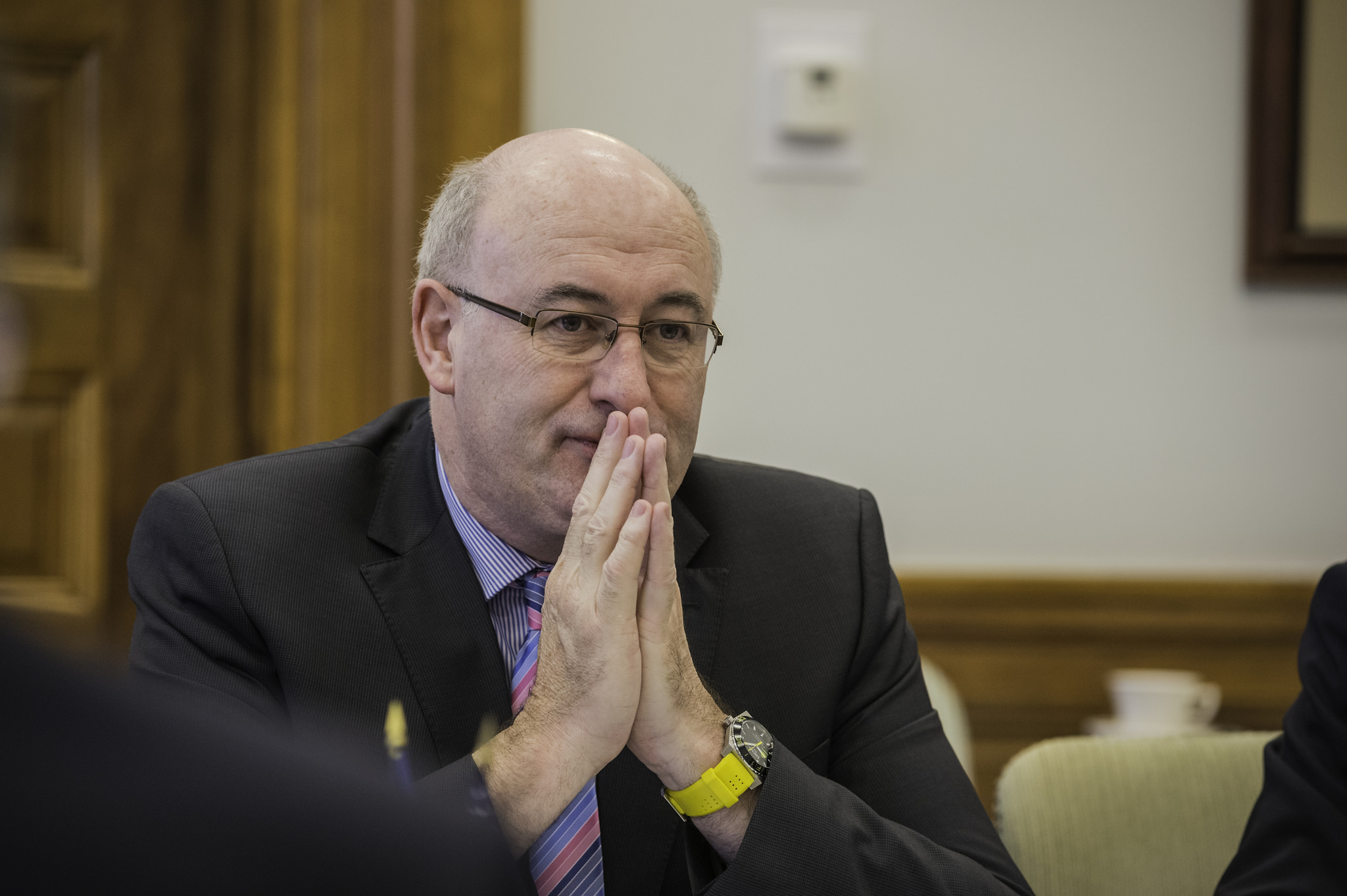 Phil Hogan: "Die Normalisierung der Preise wird viel Arbeit erfordern"