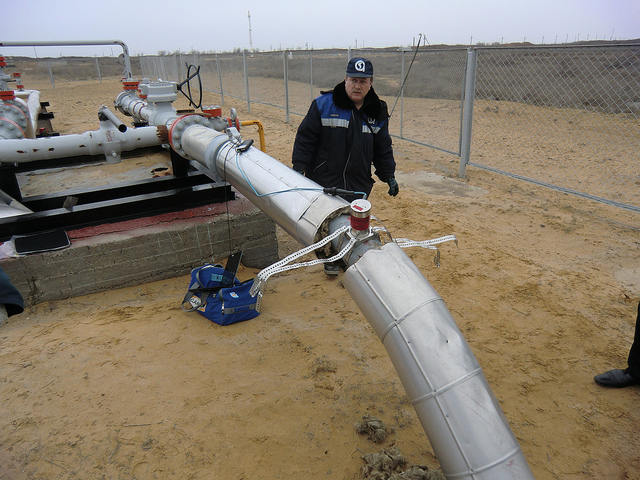 An der Seite von Kreml und Gazprom