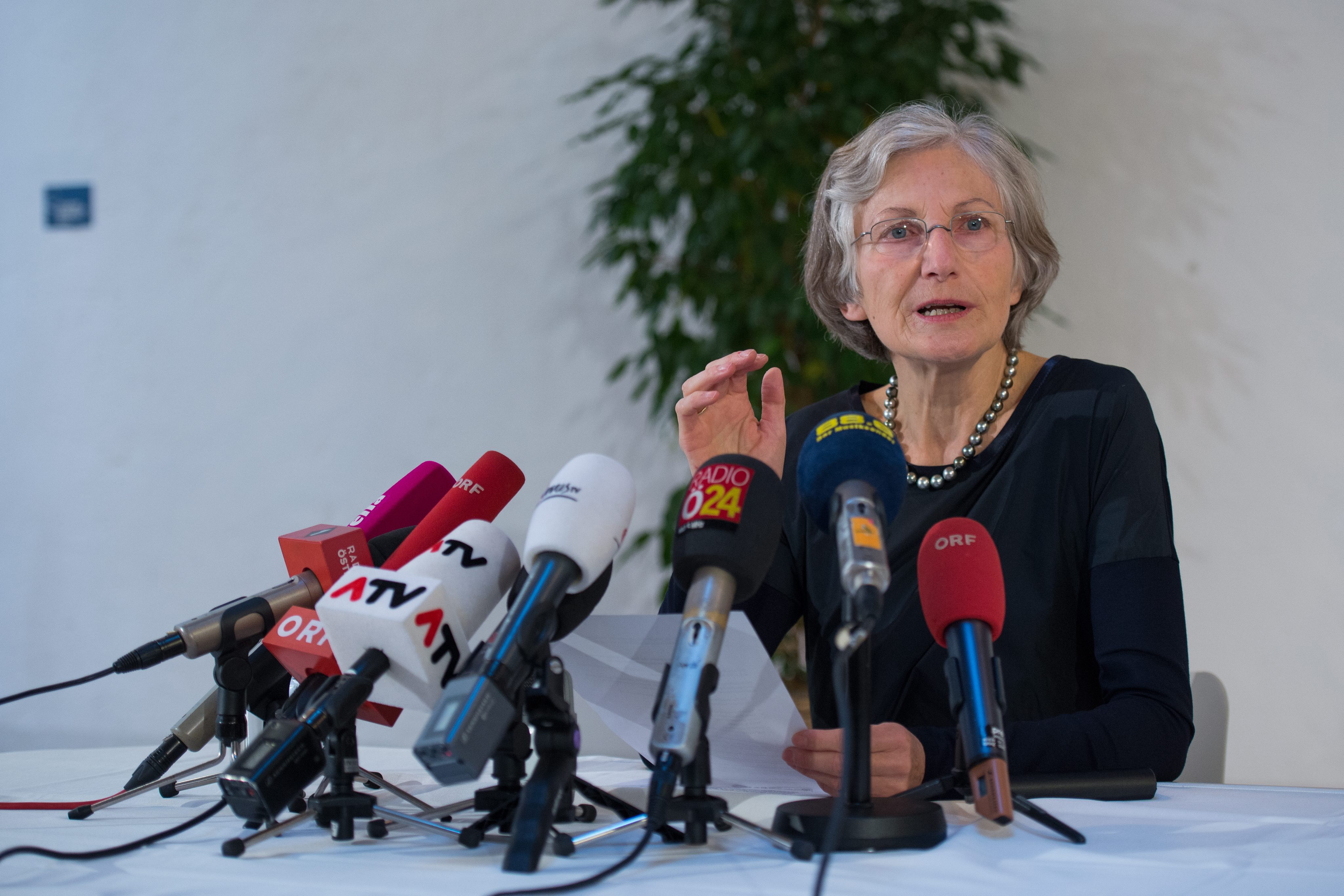 Fischer-Nachfolge: Offenes Rennen um das Amt des Bundespräsidenten