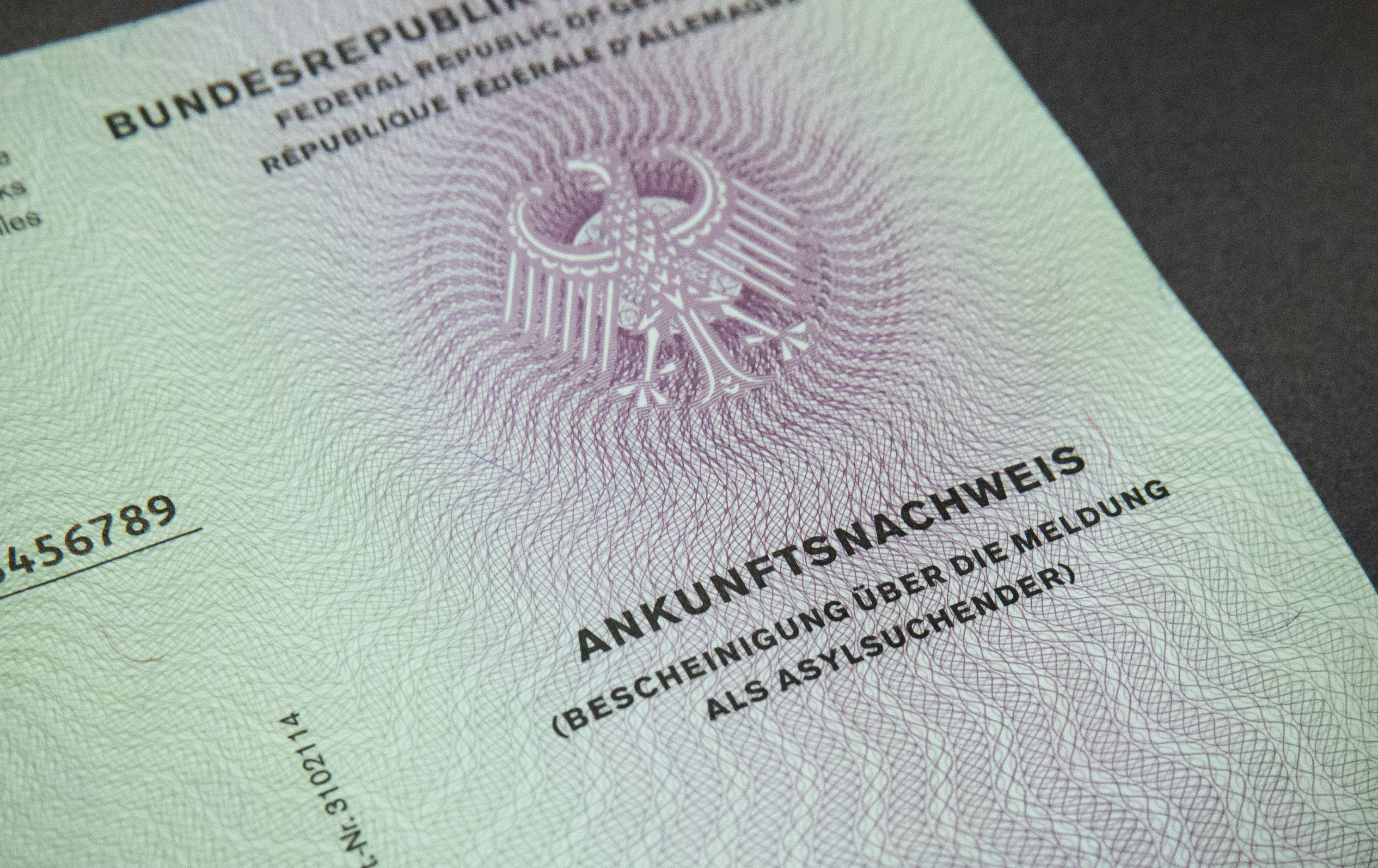 Bund der Verwaltungsrichter schlägt wegen Asylklagen Alarm