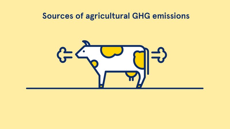Ein Überblick: Landwirtschaftsemissionen in der EU