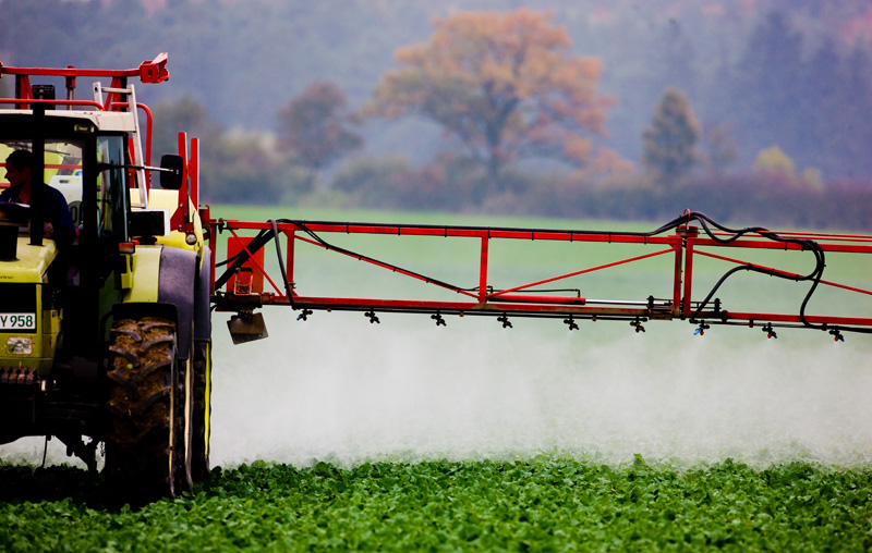 Krebserregend oder nicht? WHO macht Kehrtwende zu Glyphosat