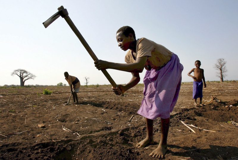 Klimaversicherungen: Gut gemeinte Hilfen mit Nebenwirkungen