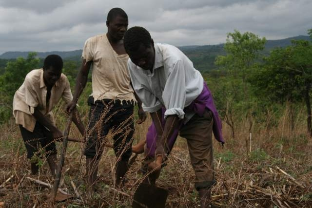 Dringend gesucht: Investitionen in Afrikas Landwirtschaft