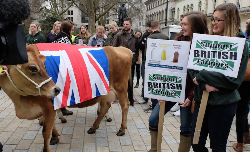 Britische Bauern fürchten einen Brexit