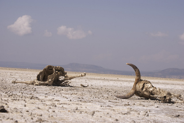 Wüstenausbreitung findet nicht nur in Afrika statt