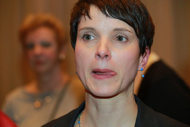 Petry als "Einzeilabgeordnete" im Bundestag