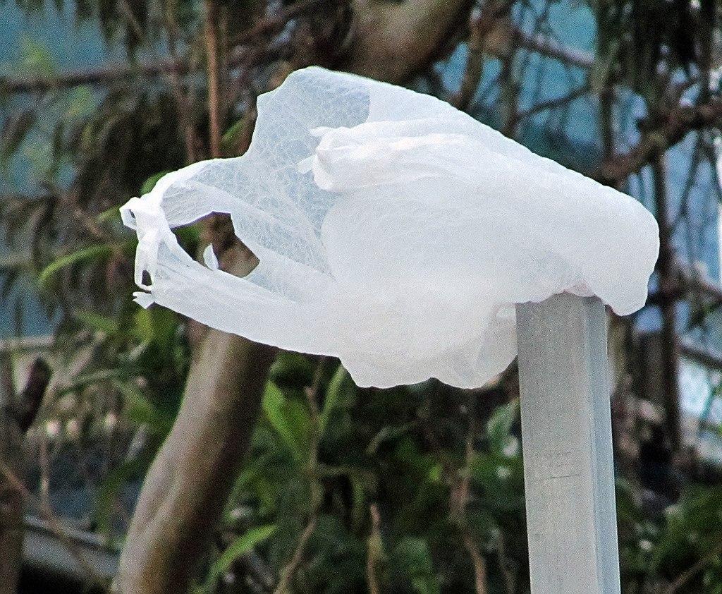 plastic_bag_ban_CREDIT[Newtown grafitti_Flickr]