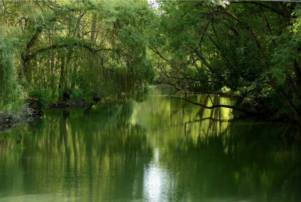 river_France_CREDIT[anne arnould_Flickr]