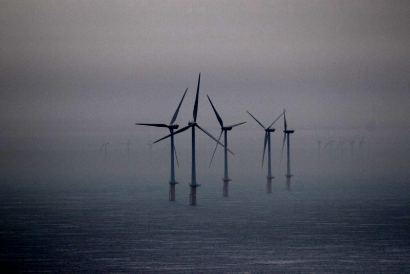 Umweltagentur beobachtet "allgemeine Verlangsamung" bei grüner Energie