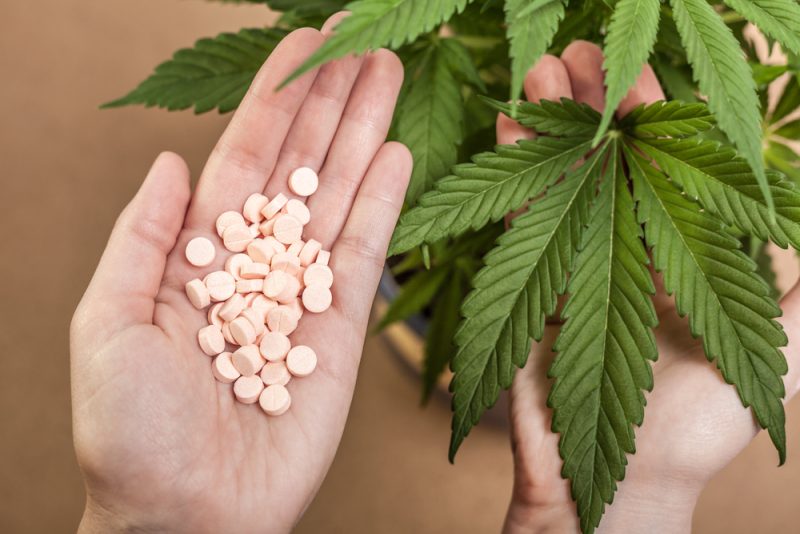 Mazedonien legalisiert medizinisches Marihuana
