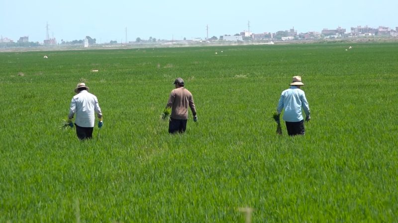 Landwirtschaftliche Innovationen im Sinne der Verbraucher