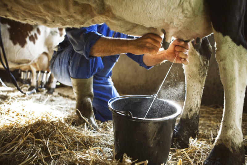 Französische Landwirte trauen neuer GAP nicht über den Weg