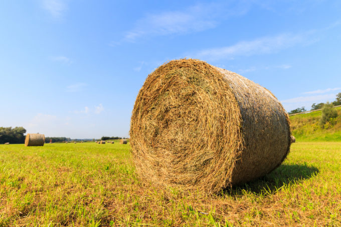 landwirtschaft-sr