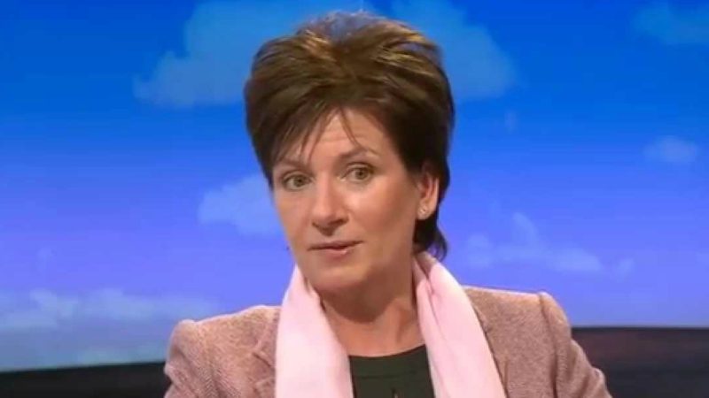 Chefin der Brexit-Partei Ukip tritt nach 18 Tagen zurück