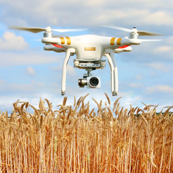 Wiggerthale: Durch Landwirtschaft 4.0 droht Bauern "Digitalisiere oder weiche"