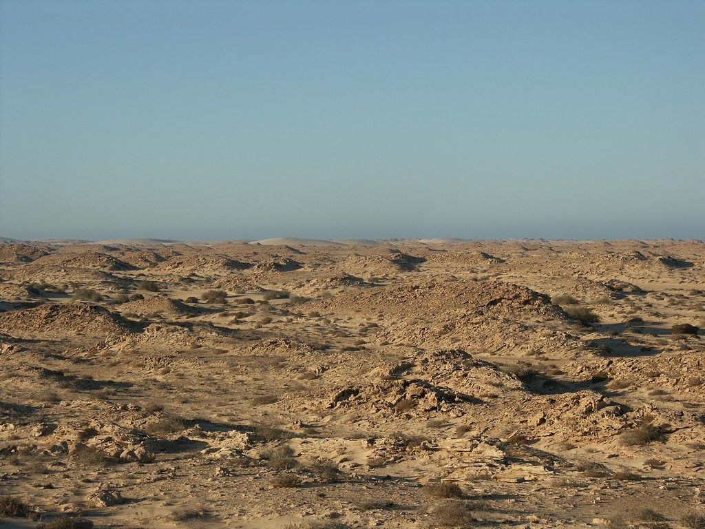 western-sahara-creditbobrayner-flickr