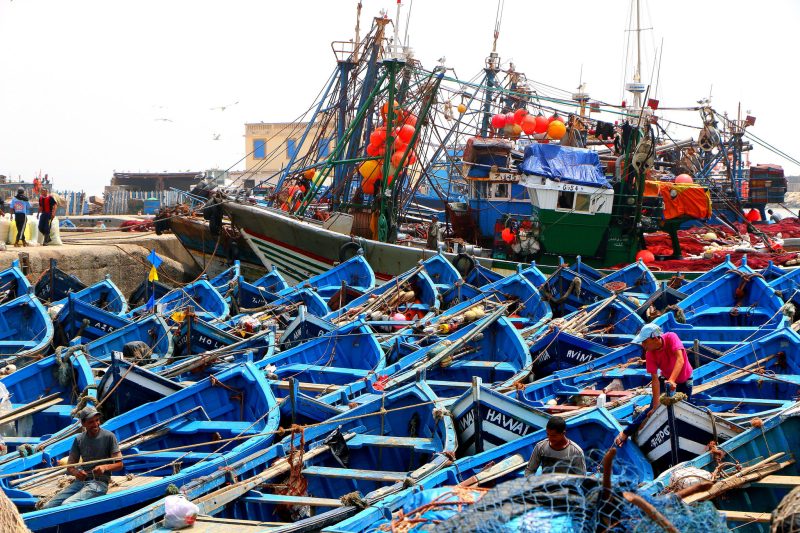 Fischereiabkommen EU und Marokko: Probleme vorprogrammiert