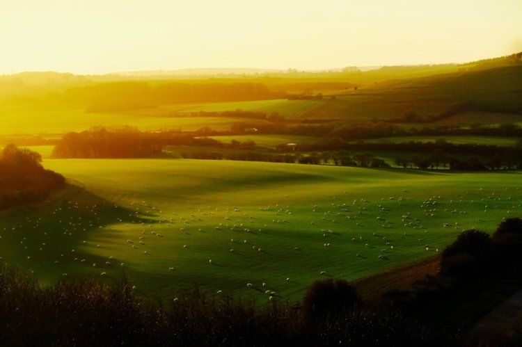LivingLand: Eine Vision für lebendige Landschaften