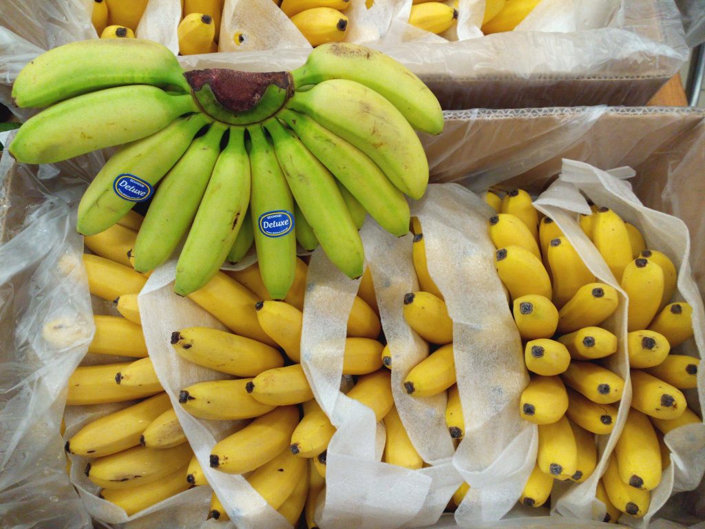 bananas_CREDIT[perriscope_Flickr]