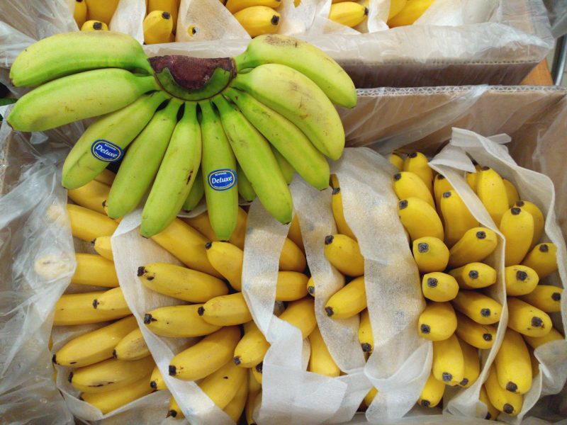 "Es ist Luxus, in Europa Bananen zu haben"