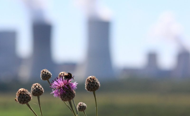 Untersuchung: EU-Emissionsgrenzen bedrohen Kohlekraftwerke