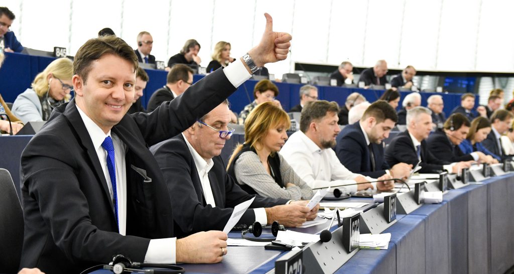 EP-050229A_MURESAN-vote