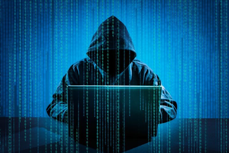 US-Studie: Russland manipulierte zu den Wahlen auf allen Onlineplattformen