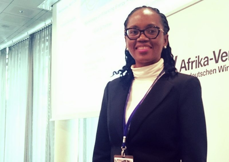 "Unser Traum: In Swasiland völlig auf Erneuerbare Energien umzustellen"