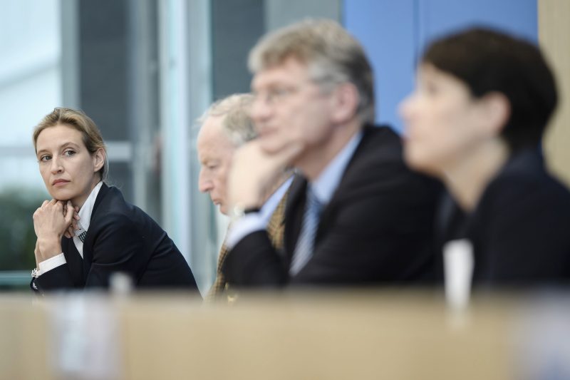 Studie: Wer wählt die AfD?