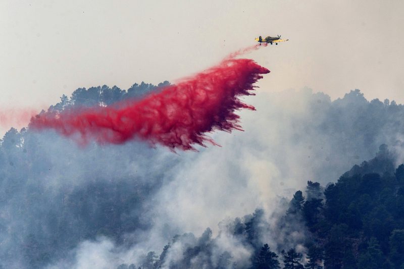 Spanien: Schlimmste Waldbrände seit fünf Jahren