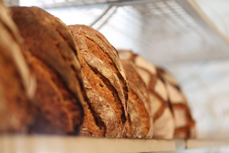Bioökonomie: Kreislaufwirtschaft und Nachhaltigkeit als Prinzip