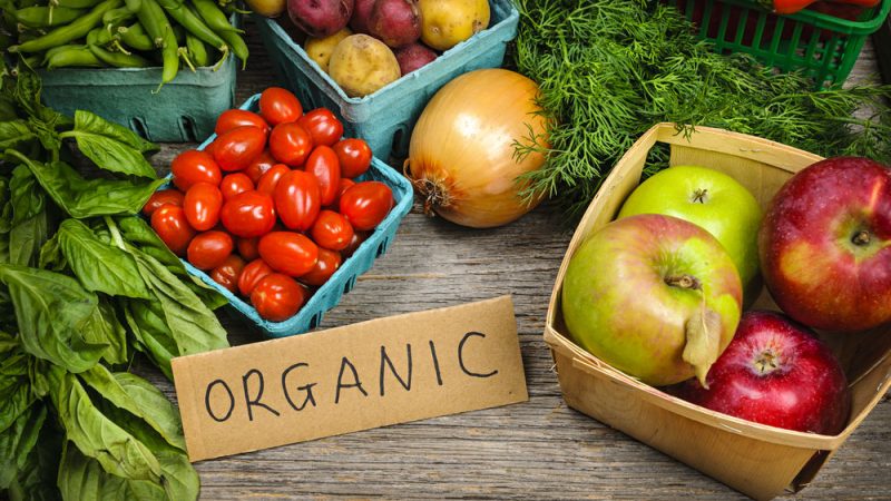 Bio-Landwirtschaft in Polen: "Die GAP hat ihre Vor- und Nachteile"