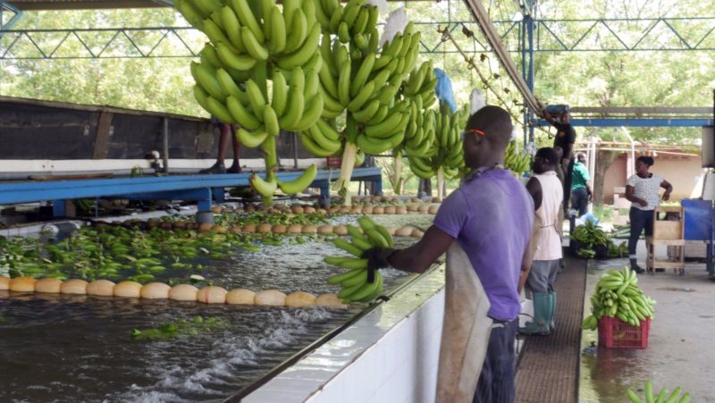Innerafrikanische Entwicklungsziele statt innerafrikanische Grenzen