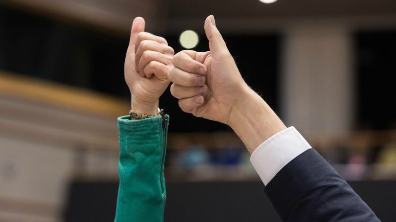 EU-Parlament einigt sich auf ‘flexible’ Ziele für erneuerbare Energien