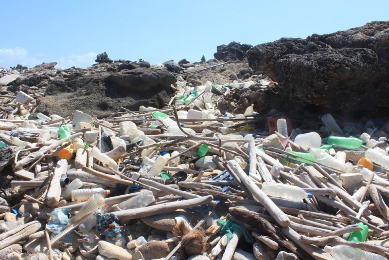 Warum eine EU-Steuer auf Plastik sinnvoll ist