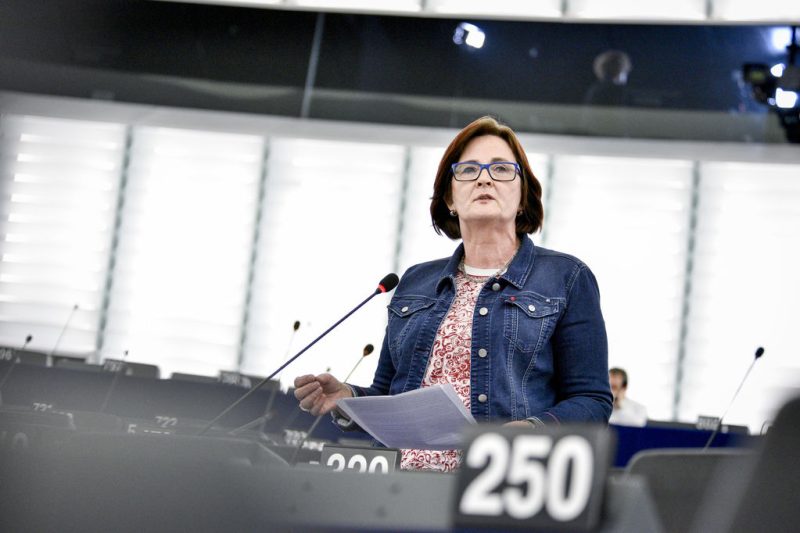 MEPs: Die EU-Datenschutzgesetze sind nicht ausreichend