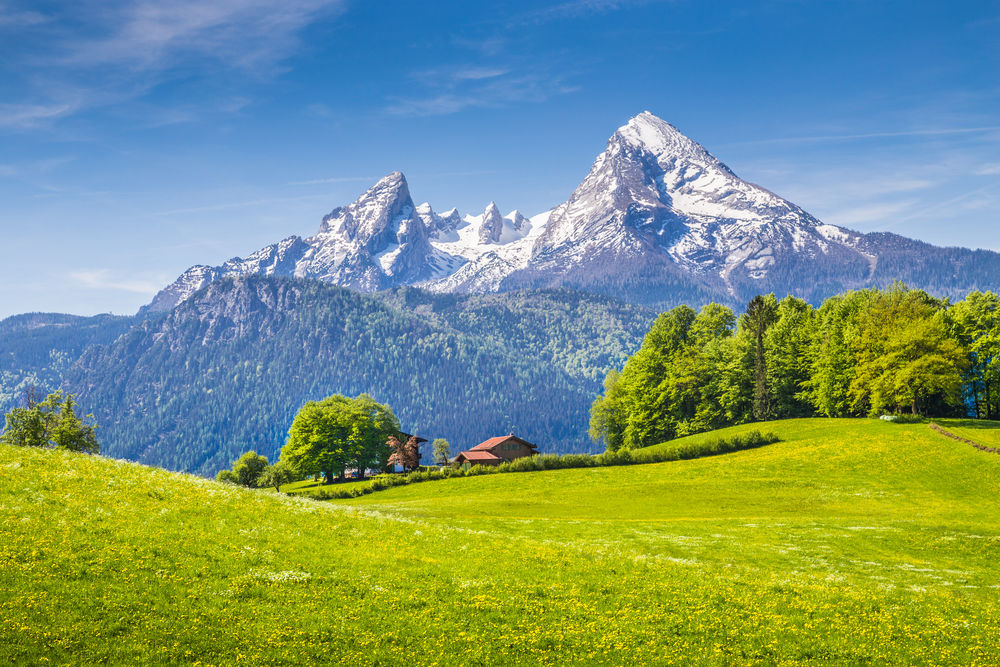 shutterstock_293988206