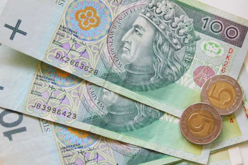 Polens stellvertretender Finanzminister: Euro ja, aber nicht jetzt