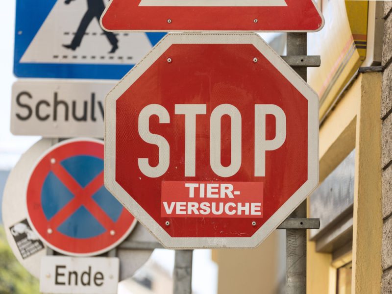 EU-Abgeordnete fordern globales Verbot von Tierversuchen