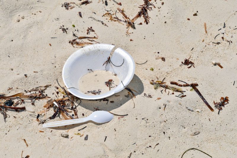 Warum das neue Plastik-Verbot nichts nutzen wird
