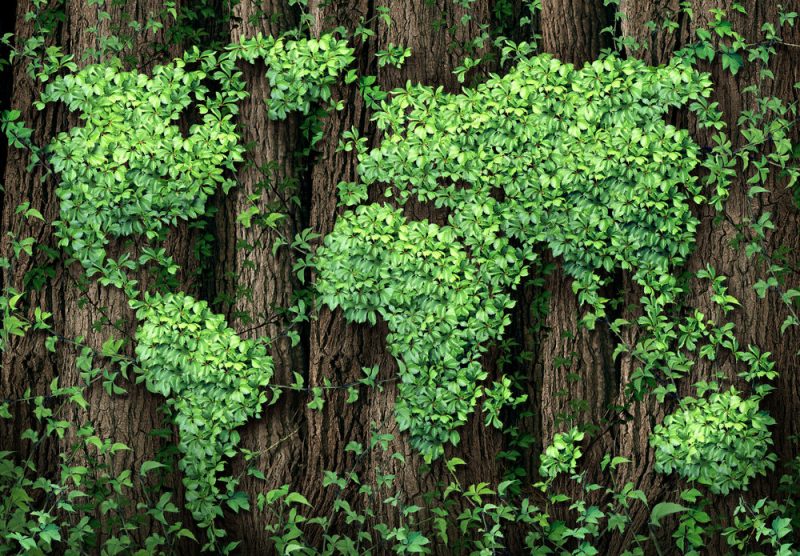 Berliner Klimakonferenz: Gastgeber verfehlt eigene Klimaziele