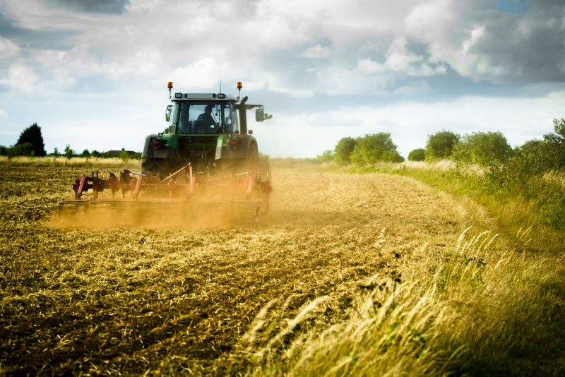 EuGH verurteilt Deutschland wegen hoher Nitratbelastung