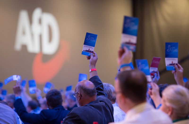 AfD eingt sich auf Partei-Stiftung