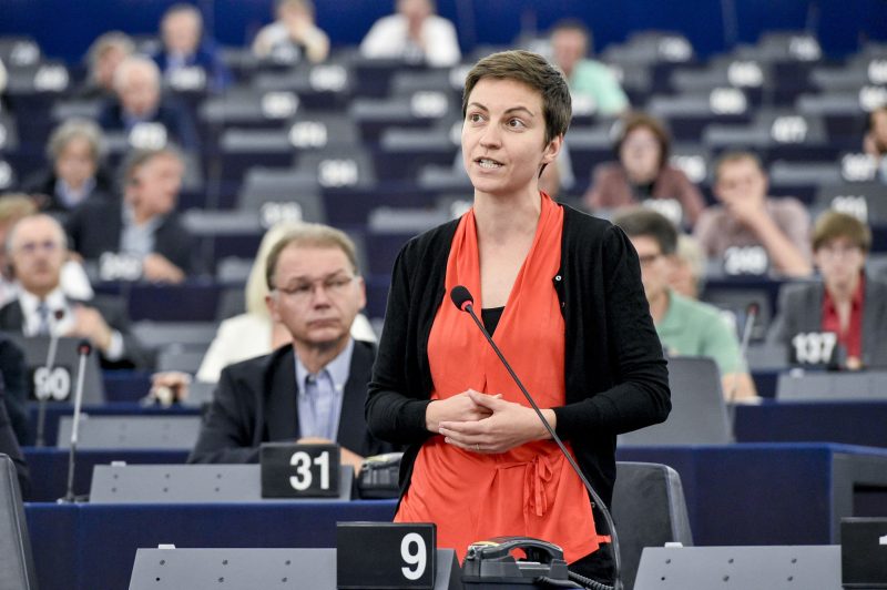 Grüne Spitzenkandidaten mit "sozialer Agenda" und Absage an Macron