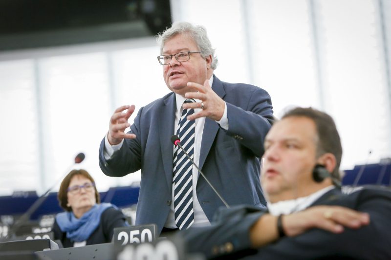 Europäische Grüne mit neuem Selbstbewusstsein gegenüber Macron