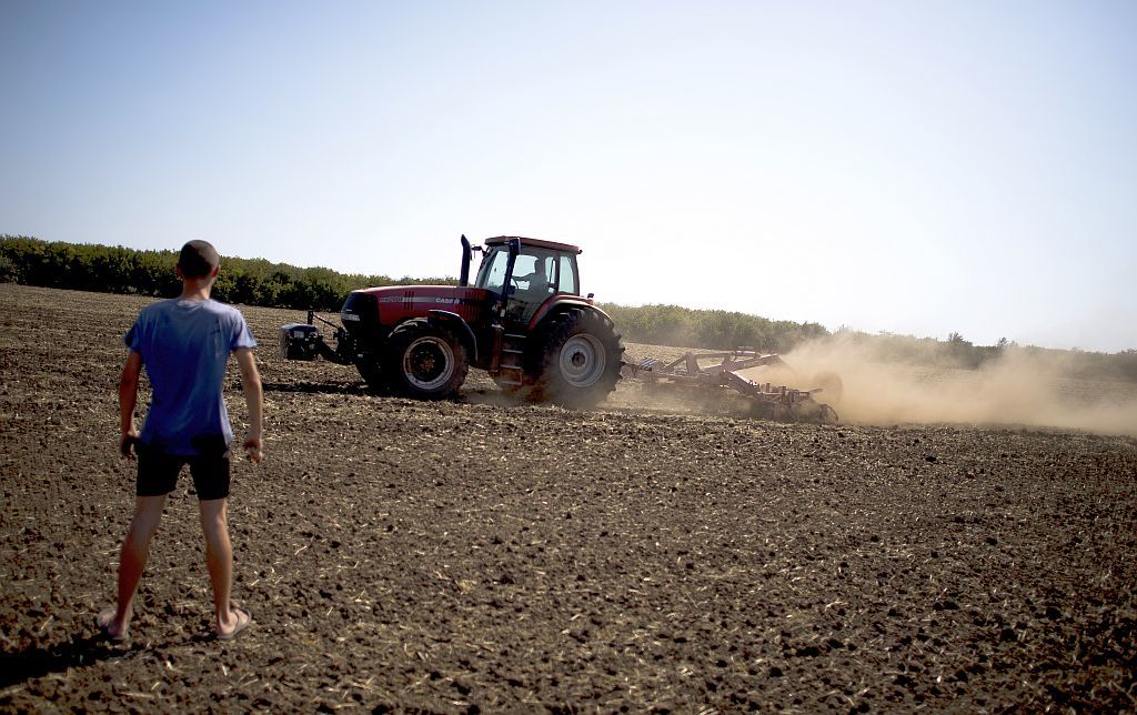 Rape cultivation in Bulgaria